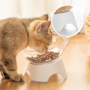 Tigela Ortopédica Anti Vômito para Gatos