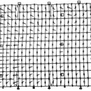 Esteira de Proteção Contra Animais para Jardim